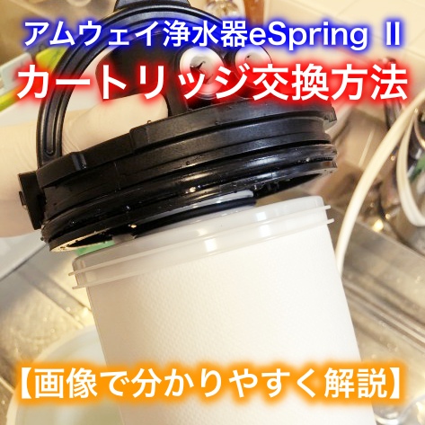 Amway - アムウェイeSpringⅡカートリッジの+inforsante.fr